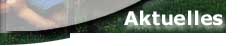 Aktuell