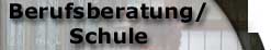 Berufsberatung/Schule